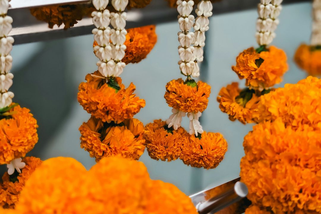 Flower garlands Close-up of vibrant marigold and jasmine garlands,