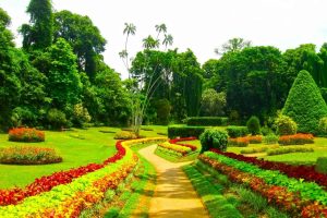 Beautiful manicured lush green gardens filled with colourful flowers of red and green line a sandy path with lush trees in the background
