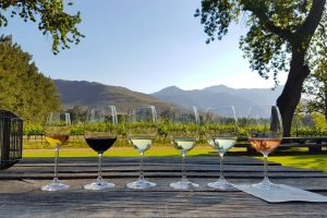 Six different glasses with small amount of different wines in each for tasting, set on a table with vineyards and mountains in the background.