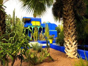 Cobalt blue building in the background with lush palms and cactus in the foreground