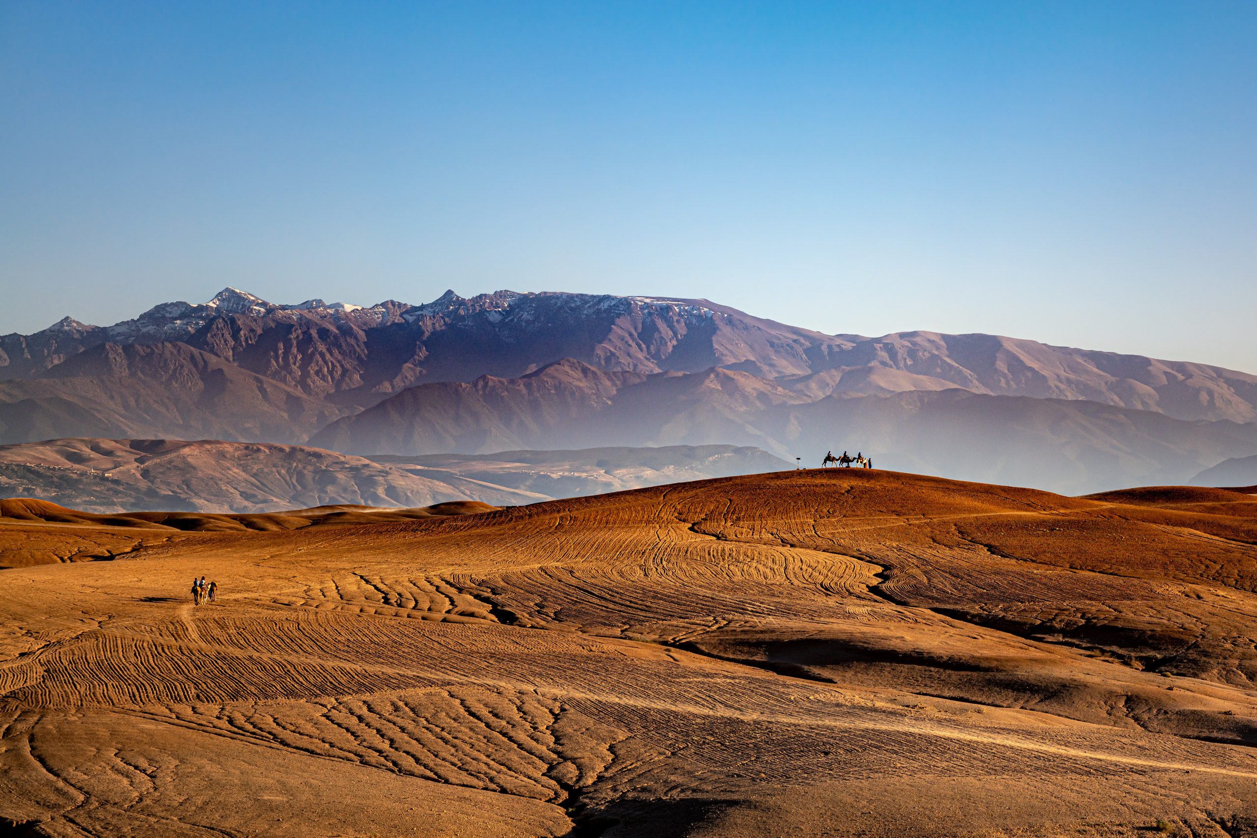Agafay desert landscape with dunes and camels