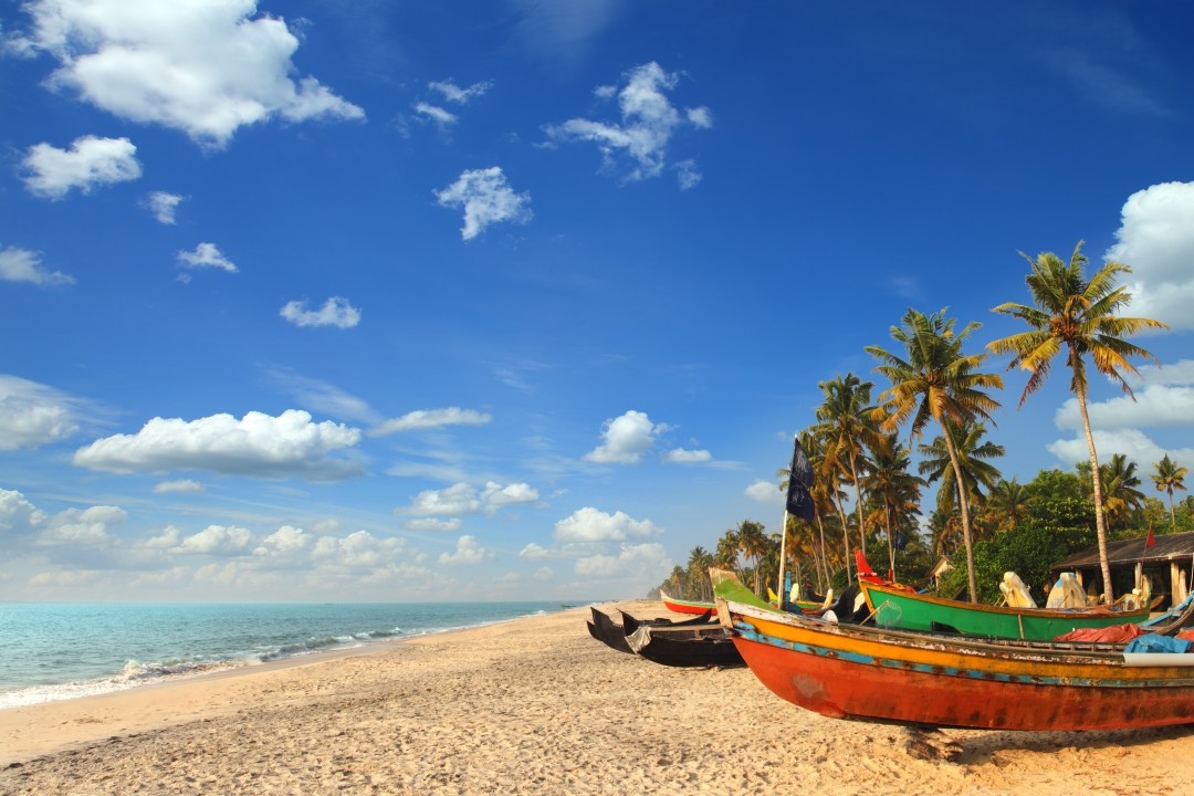 A paradise beach with blue skies, golden sands, palms, and brightly colored rowing boats