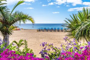 A sunny sandy beach in Puerto del Carmen, framed by palm trees and bright flowers