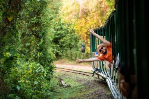 Traveller leaning from an open-sided ecological train travelling through tropical rainforest towards Devil’s Throat in Iguazú National Park