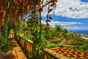 Lush tropical garden with hanging flowers, geometric flower beds and views across Funchal towards the Atlantic Ocean
