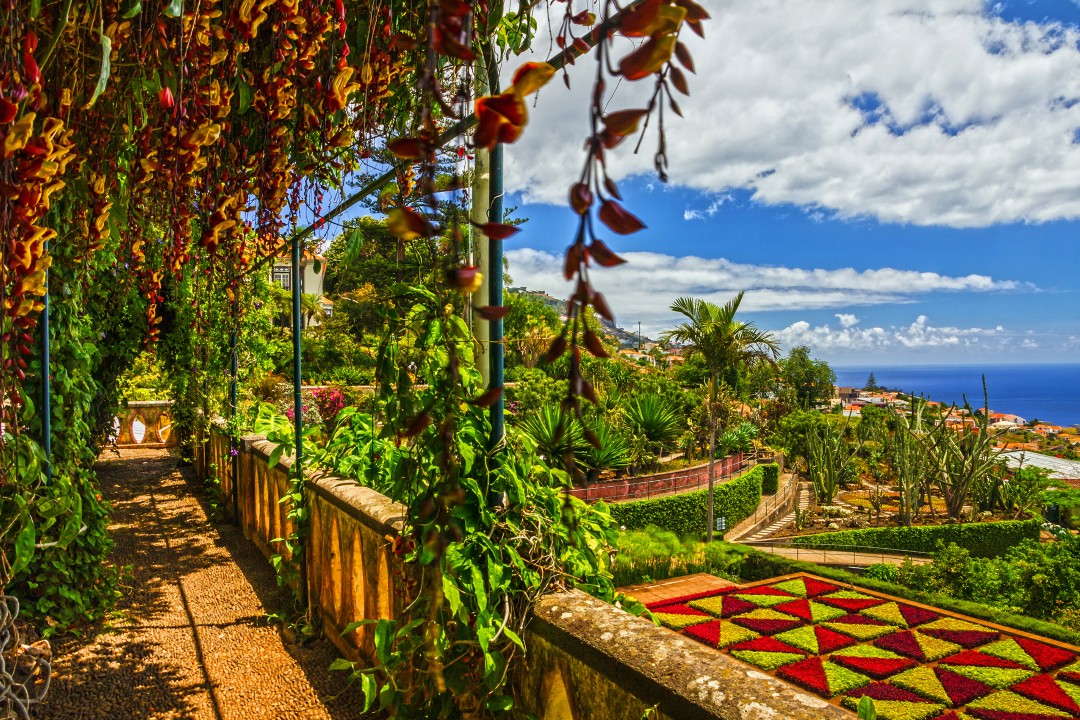 Monte Palace Tropical Garden Lush tropical garden with hanging flowers, geometric flower beds and views across Funchal towards the Atlantic Ocean