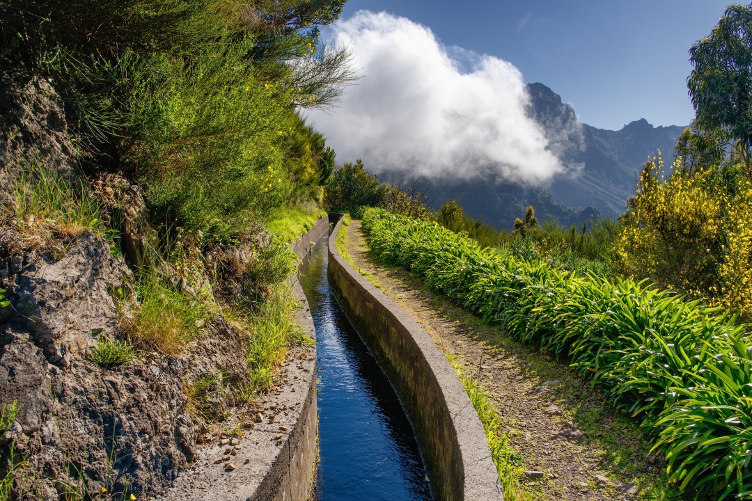 Scenic Levada Walk Narrow walking path beside a flowing levada, surrounded by lush vegetation and cloud-covered mountain peaks