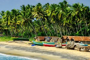Colourful fishing boats and thatched huts on a sandy South Indian beach, backed by a dense grove of coconut palms.