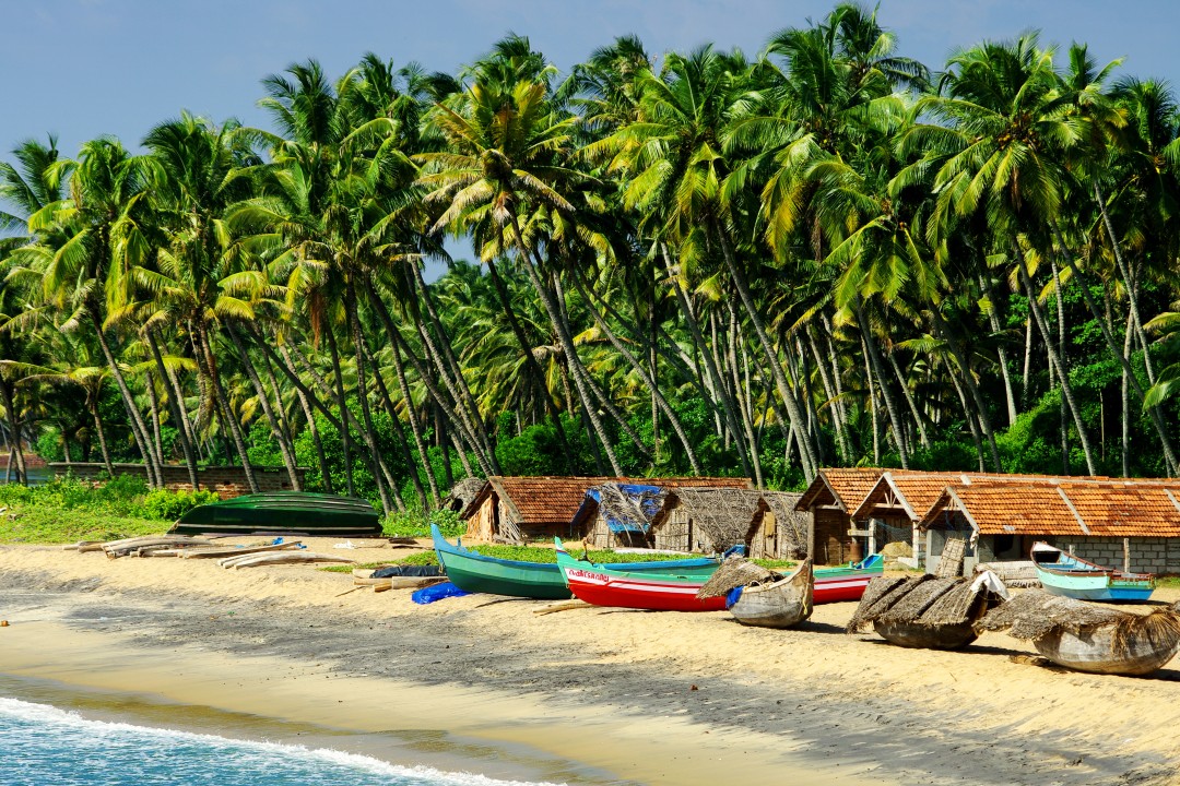 Colourful fishing boats and thatched huts on a sandy South Indian beach, backed by a dense grove of coconut palms.