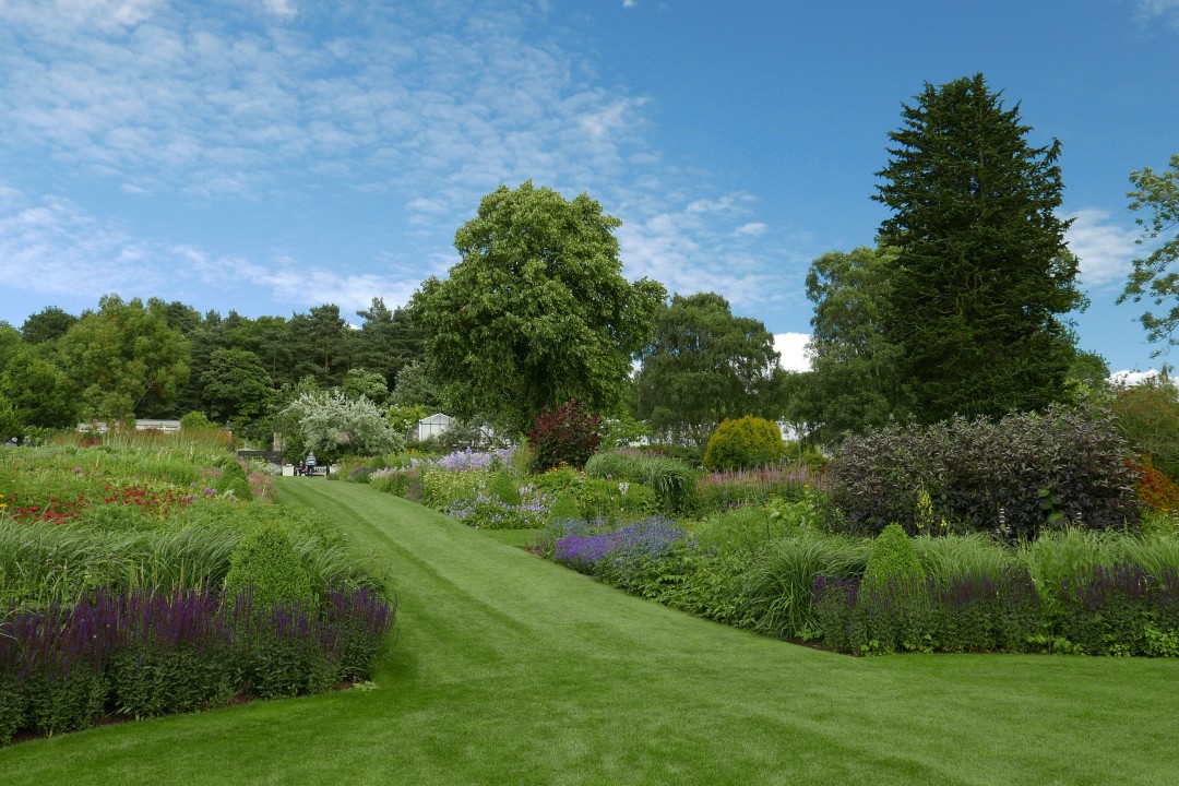 RHS Garden Harlow Carr Sweeping green lawn bordered by colourful flower beds, flowering shrubs and mature trees at RHS Garden Harlow Carr, Yorkshire